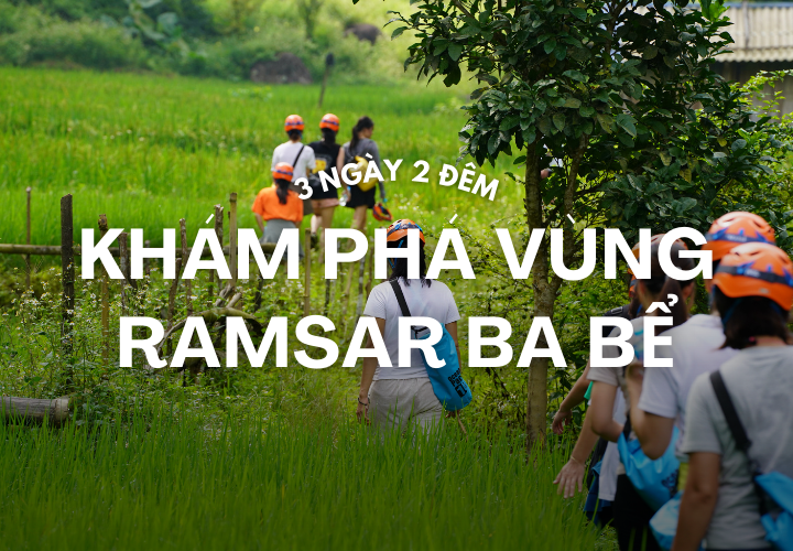 Khám phá vùng Ramsar Ba Bể 3 ngày 2 đêm